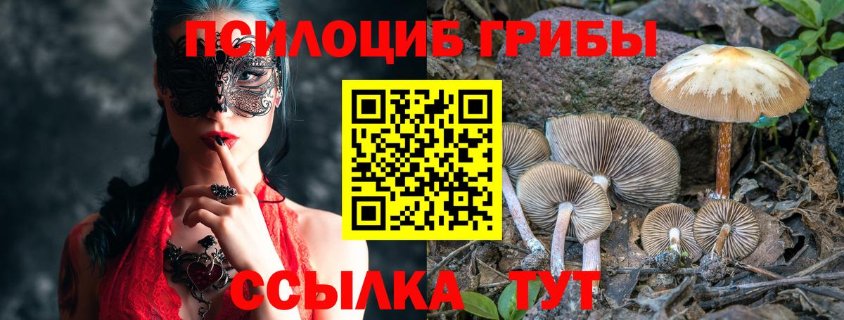 Новокубанск  Псилоцибиновые грибы ЛСД  Вход с VPN 